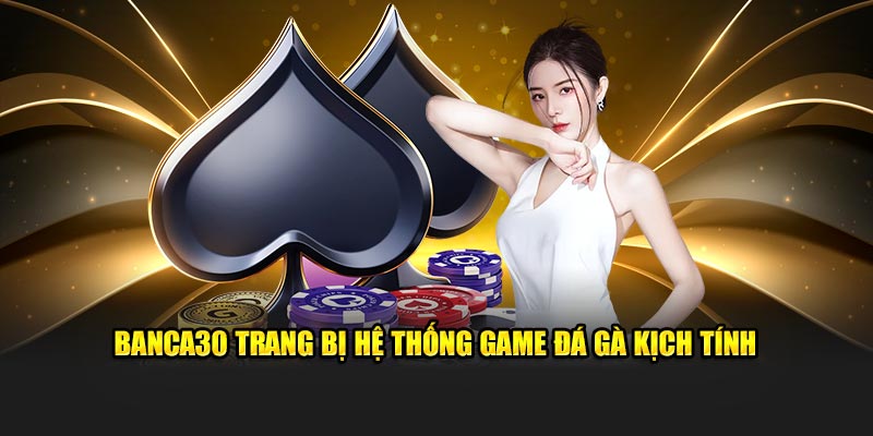 Banca30 trang bị hệ thống game đá gà kịch tính